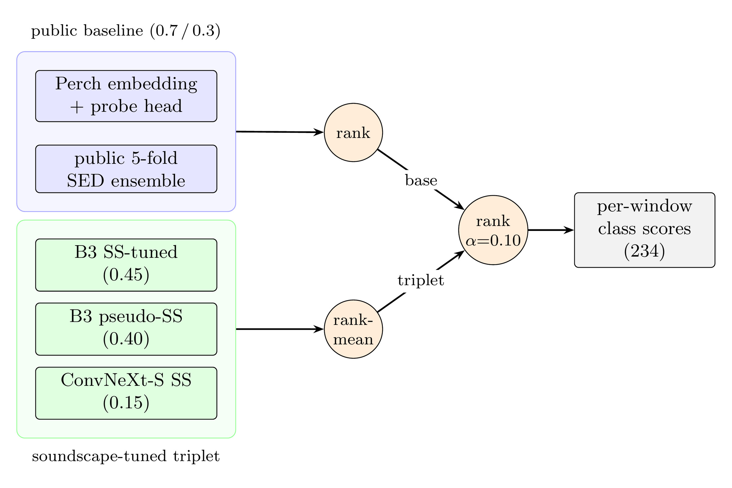 System diagram for the BirdCLEF+ 2026 entry