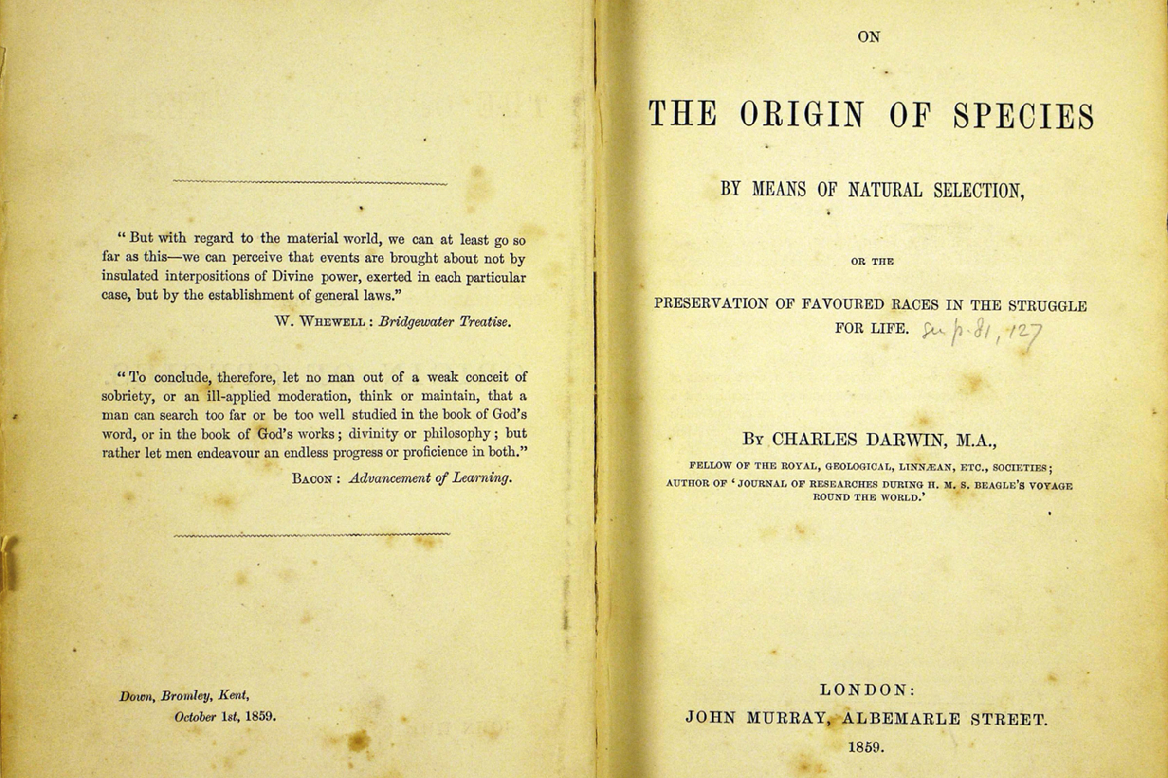 Foundation of Evolutionary Theory