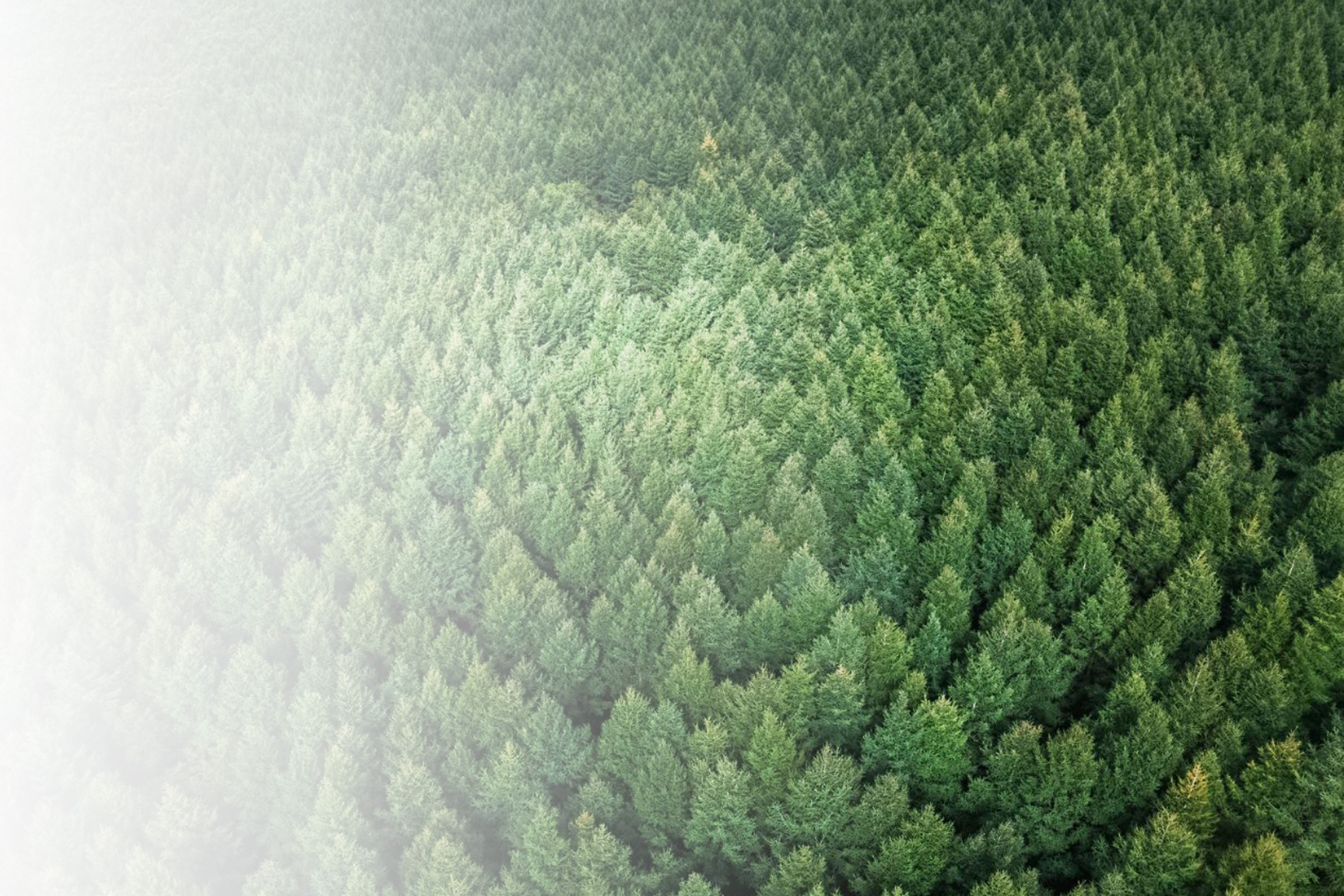 Hierarchical Spatial Modelling