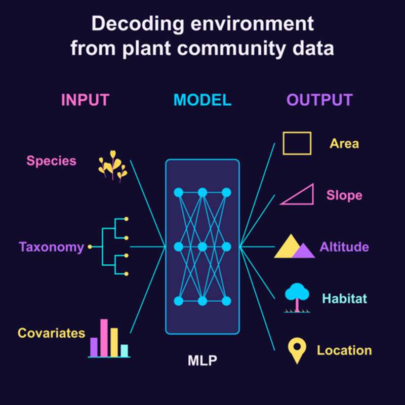 Graphical abstract: Decoding environment from plant community data — species, taxonomy, and covariates feed into an MLP that outputs area, slope, altitude, habitat, and location